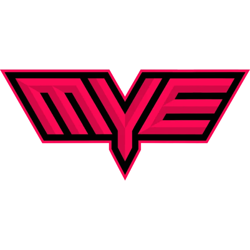 Watermark logo for Misty Esports