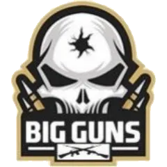 Watermark logo for Big Guns
