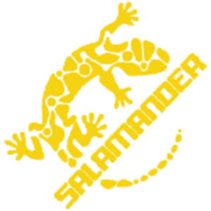 Watermark logo for Salamander