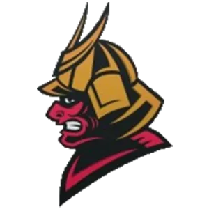 Watermark logo for Senshi