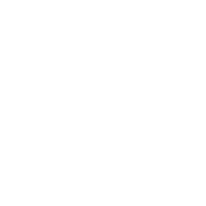Watermark logo for Team XY