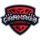 Carnage Gaming