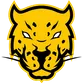 Jaguares Esports