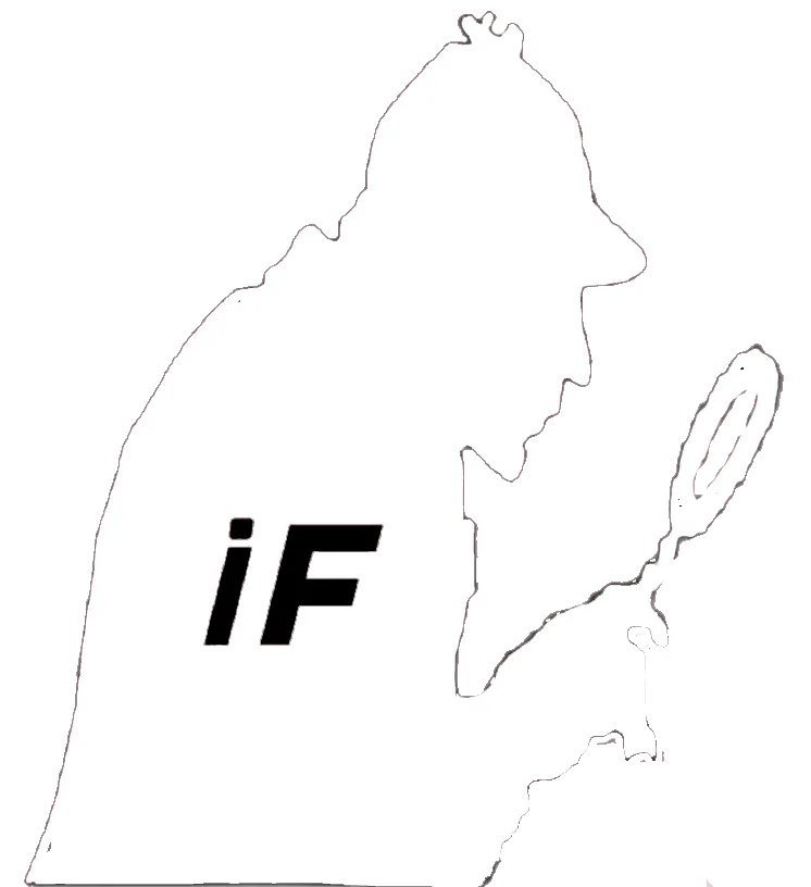 Watermark logo for Investigation File