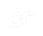 Watermark logo for Bo team