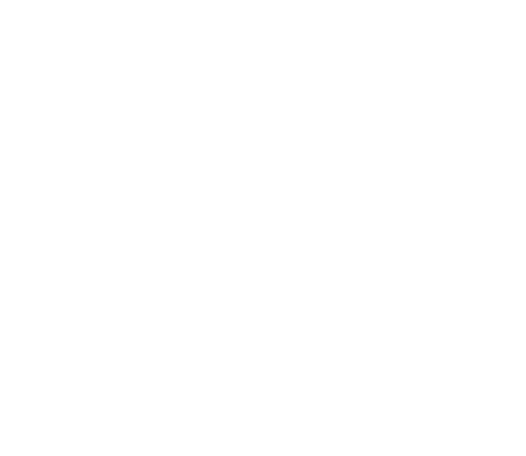 Watermark logo for Team Alpha